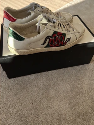 Gucci skor med orm - Säljer mina Gucci skor med broderad orm på sidan och färgdetaljer i rött och grönt på hälen. Skorna har lågt skaft, vita snören och en klassisk siluett. Materialet är läder och designen är riktigt unik och sticker ut.