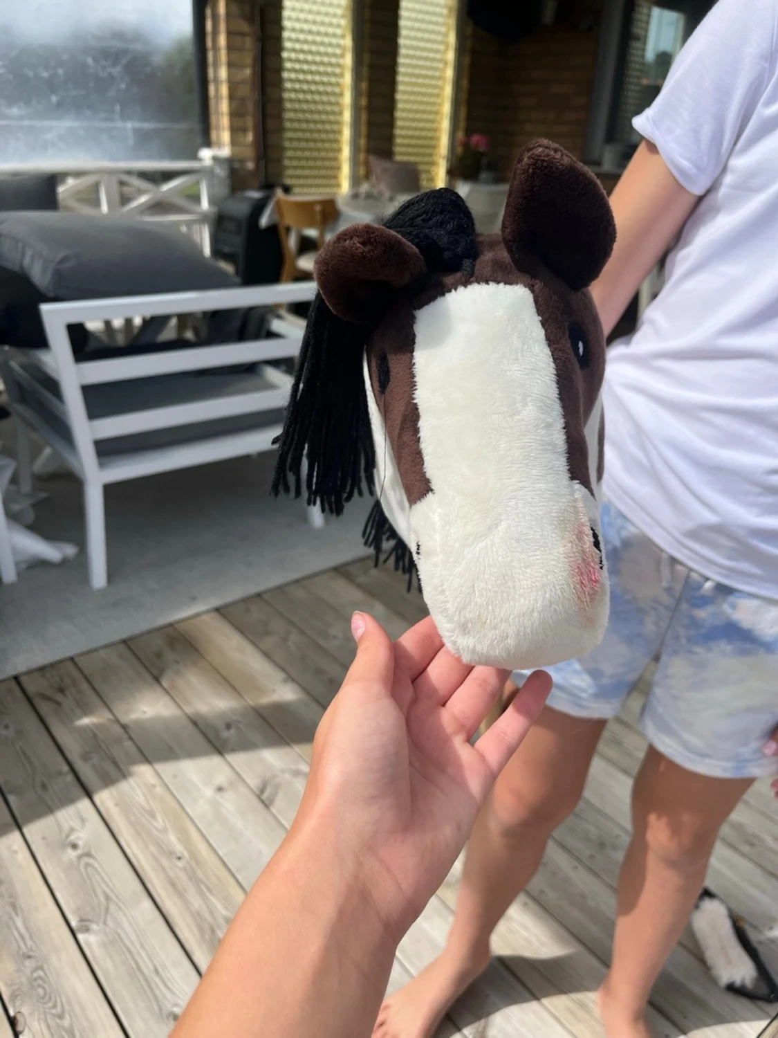 Käpphäst med täcke och grimma - 5