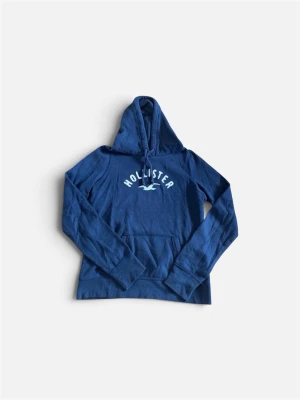 Blå hoodie från Hollister - Blå hoodie från Hollister med klassisk logga och fågeltryck på bröstet. Hoodien har huva med dragsko och en stor magficka framtill. Perfekt för chill dagar och enkel att matcha med jeans eller mjukis.