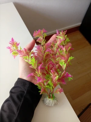 Plastväxt till akvarium rosa/grön - Säljer en dekorativ plastväxt för akvarium i rosa och gröna nyanser. Växten har flera grenar med detaljerade blad och en vit stenfot för stabil placering i grus eller sand. Perfekt för att skapa en färgglad miljö i ditt akvarium.