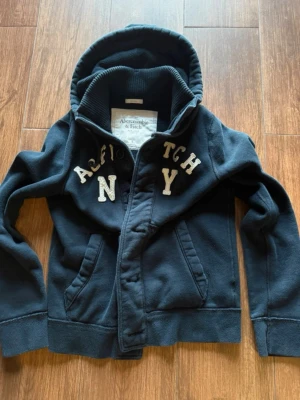 abercrombie & fitch vintage y2k hoodie  - bra skick