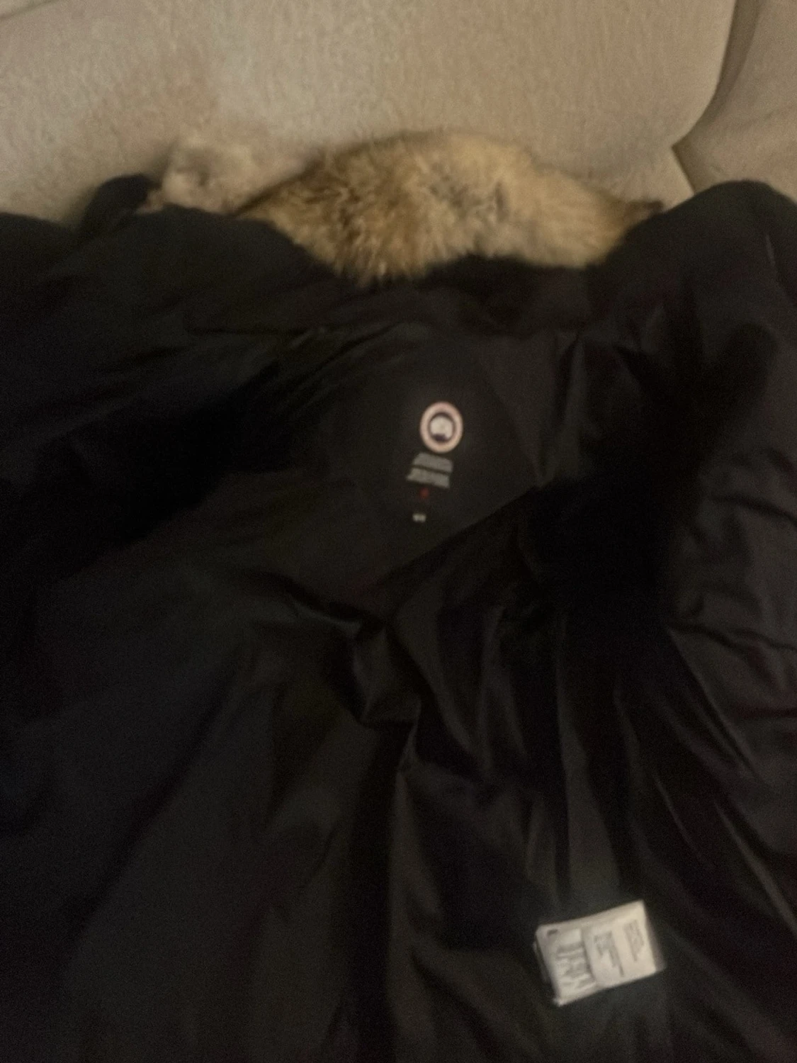 Svart dunjacka med pälskantad luva - 2