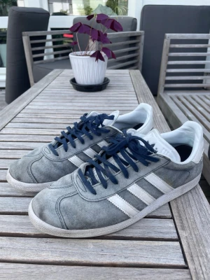 Adidas Gazelle - Säljer ett par ljusblåa Adidas gazelle  i mocka. Storlek 42 cm 26,5. Hör gärna av er vid minsta lilla fundering! 