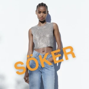 Zara topp (söker) - Söker denna glittriga topp från Zara 