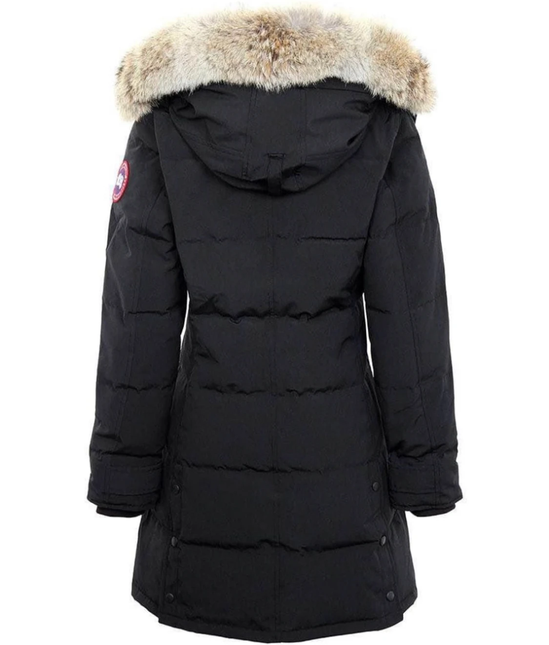 Canada goose shelburne
