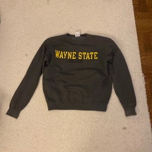 vintage champion crewneck - grå as snygg champion crewneck som tyvärr inte kommer till användning. 
