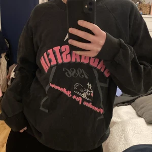 Sweatshirt  - Fri frakt