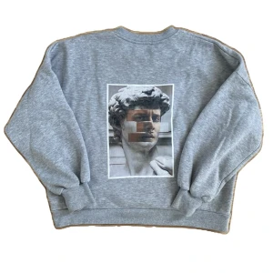 NAKD Sweather  - Jättefin tröja köpt från ett UF-företag. Tryck på ryggen och tröja från NA-KD storlek L men skulle säga M, funkar även på S om man vill att den sitter lite ”pösigare”