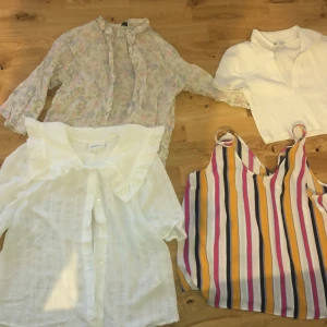 Blouses  - 50kr each ( can order seperate 