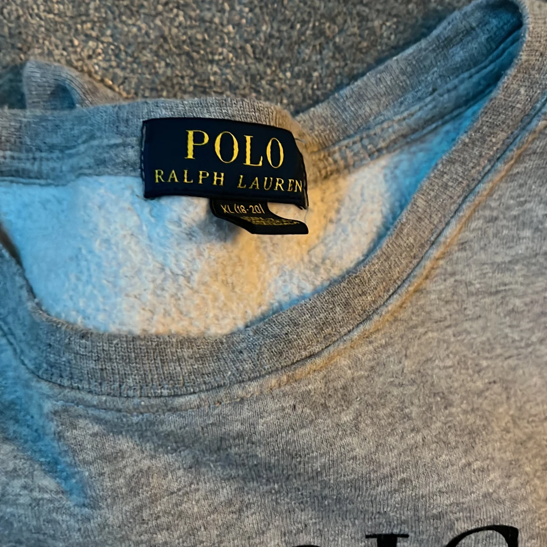 Polo Bear Sweater - 91