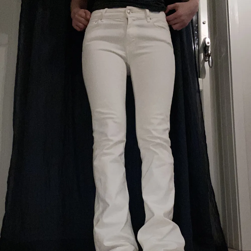 Säljer mina Jättesnygga vita, bootcut lågmidjade jeans som tyvärr inte kommer till användning då de är för långa för mig. Lite oklart med storlek då de står 36 men de passar mig som brukar ha stl 27-28. Jeans & Byxor.