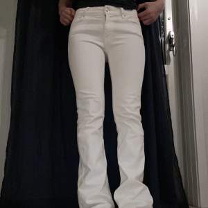 Säljer mina Jättesnygga vita, bootcut lågmidjade jeans som tyvärr inte kommer till användning då de är för långa för mig. Lite oklart med storlek då de står 36 men de passar mig som brukar ha stl 27-28