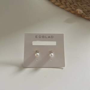 Säljer nu ett par helt nya oanvända örhängen från Edblad! Nypris 299