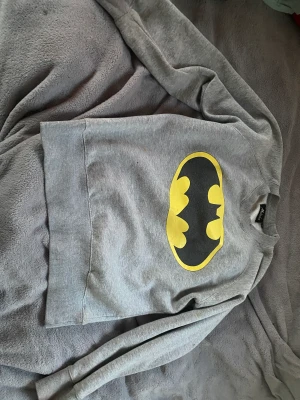 Batman tröja y2k  - En snygg grå barman tröja. Tröjan är i storlek XL men den är inte så stor. Den är i ganska bra sick 