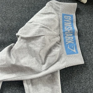 Gymshark tights - Superskick och endast provade. 