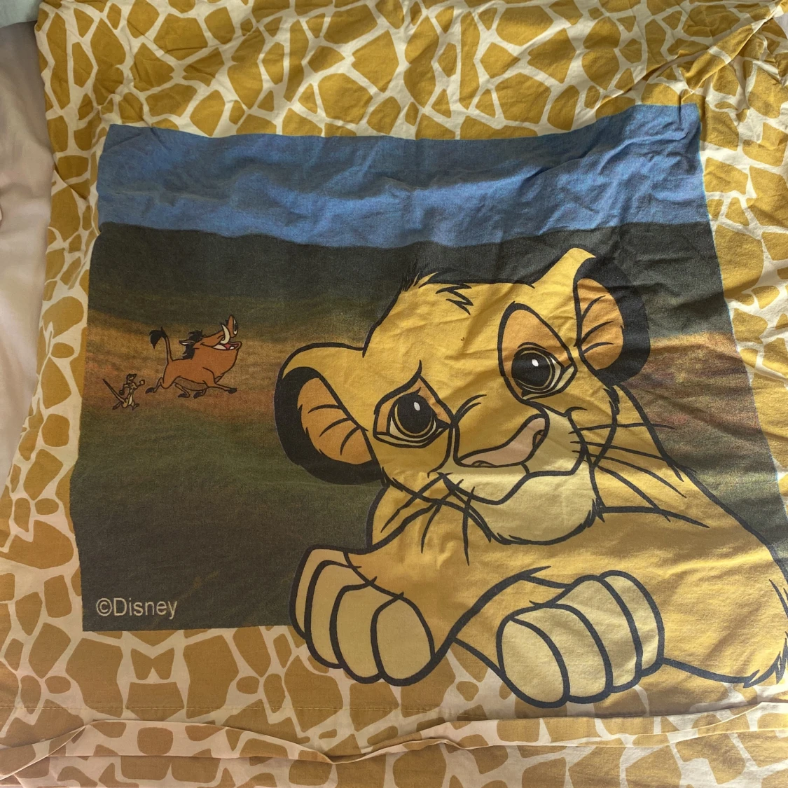  Täcke och kudde överkast