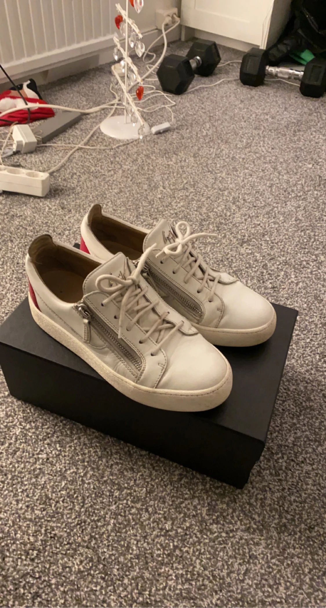 Guiseppi Zanotti Sneakers