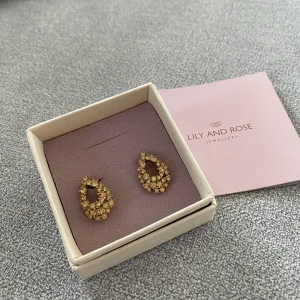 LILY AND ROSÉ JEWELLERY  - Säljer oanvända örhänge från Lily and rosé jewellery. Box medföljer.  Petite Alice Errings (Gold). Nypris: 329kr  Säljer dem för 100kr exklusive frakt. Kan hämtas i Göteborg eller Mölndal. 