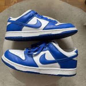 Det är en Nike dunk sko som är i färgen kentucky blue som jag fick i present har använts fåtal gånger 