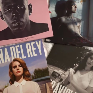 Vinyl skivor  - Säljer mina vinyl skivor, alla är i nyskick. Önskas fler bilder så är det bara skriva! 300kr st Har även: K-12-Melanie Martinez Froot- Marina and the Diamond