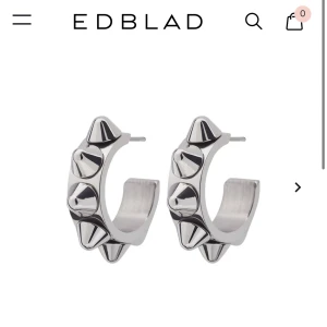 Nit örhängen  - SÅÅ snygga nit örhängen från Edblad!! 😍😍 använda fåtal gånger så i fint skick 💗🤗💋skriv för fler bilder! 