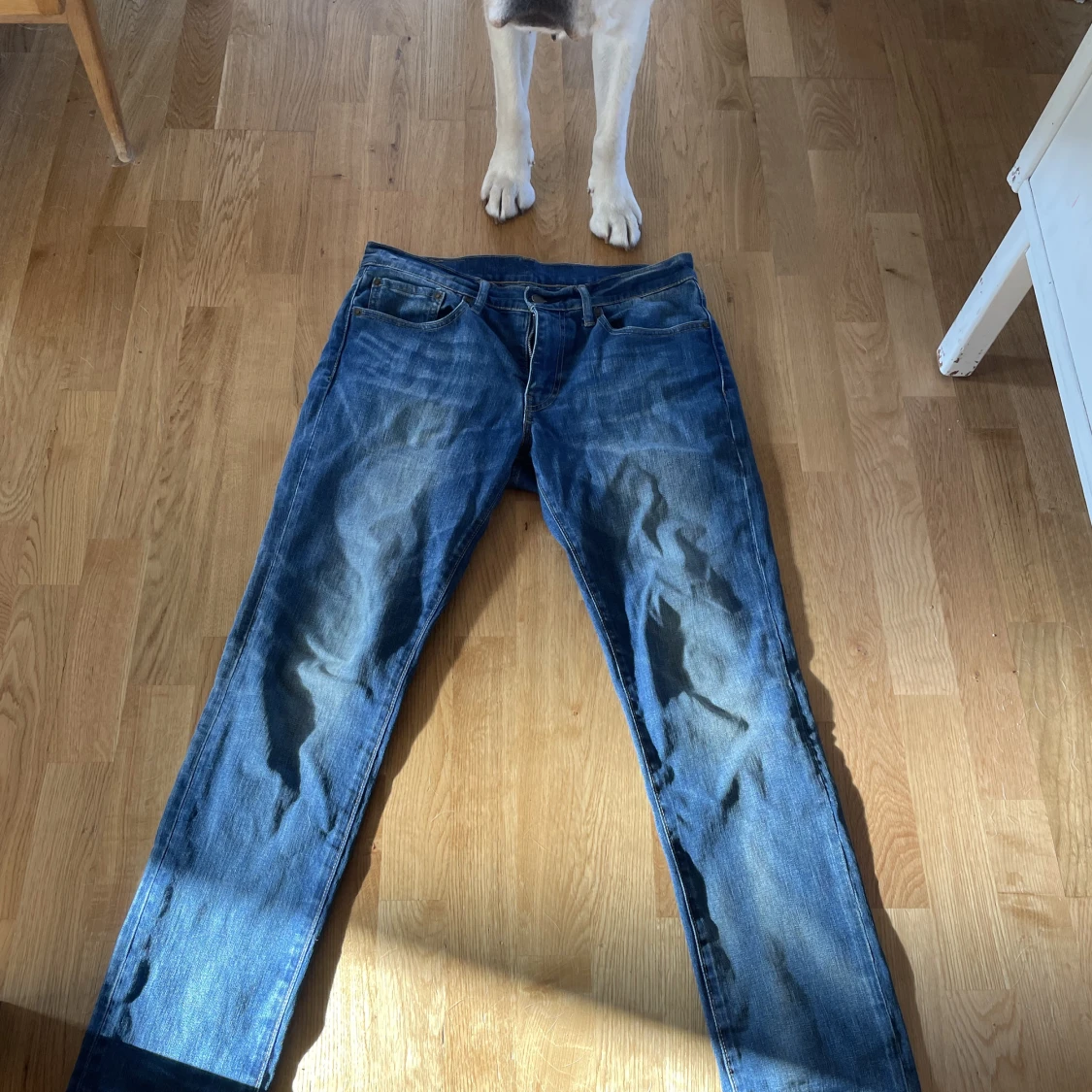 Levi’s 511