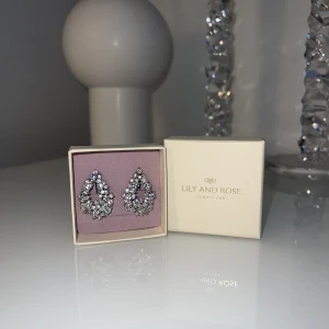LILY & ROSE - Jättefina Lily & rose örhängen   (Aldrig använda)  Köpt för 549kr säljer för 350kr 🤍 