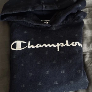Champion Hood  - Storlek S
