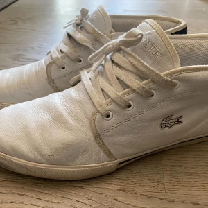 Lacost sneekers  - Vita med detajer