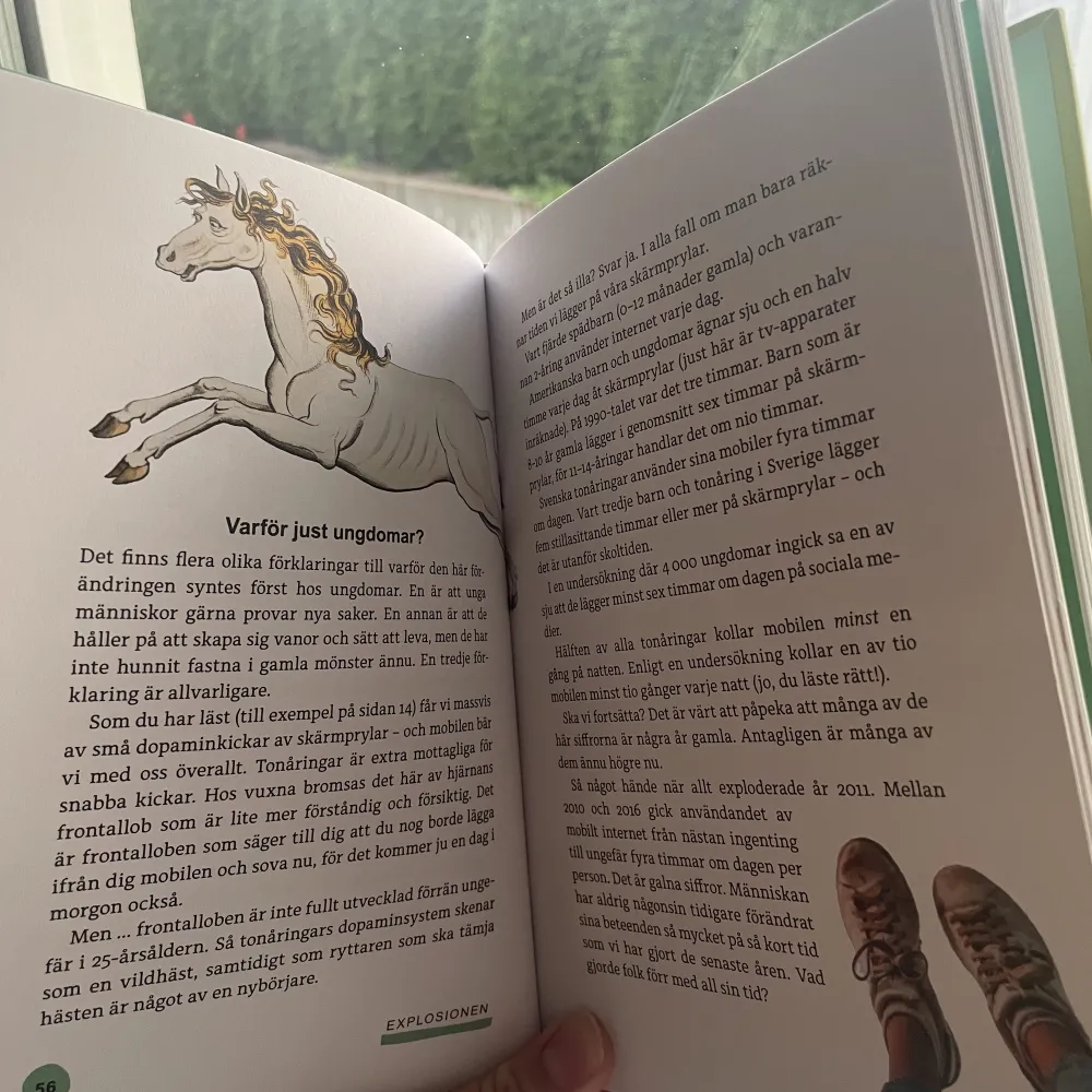 Säljer denna bok ”skärmhjärnan junior” av Anders Hansen och Mats Wänblad! En faktabok på 127 sidor 🧸🤎 frakten tillkommer . Övrigt.
