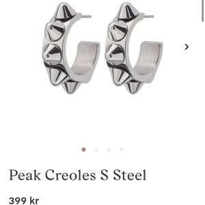 Örhängen  - Snygga örhängen med nitar. Som nya. Nypris 399. Örhängena kommer vara desinfekterade vid köp