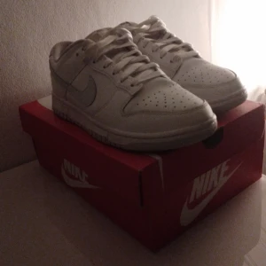 Nike dunk low - Säljer skorna för att jag inte använt de så det är bra skick och stolek 41.