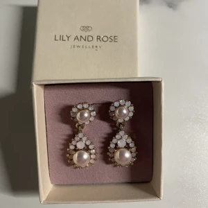 Örhängen  - Söta & eleganta örhängen från Lily & Rose 💕