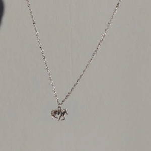 Halsband - Ett silver halsband med en häst. Har aldrig användt för att jag inte gillar hästar och aldrig hittade något den passade till. Har ett sådant runt spänne. Syns i tredje bilden. Tryck inte på "köp nu" knappen utan kontakta privat, tack!🤍🍓💕