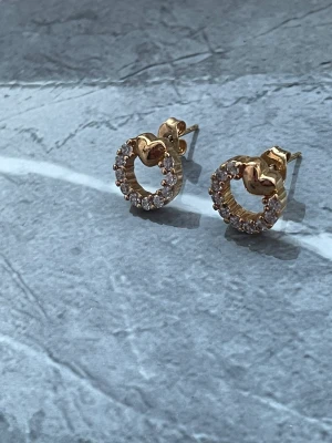 Örhängen  - Två olika örhängen med jätte fina detaljer. I gott skick, 50 kr styck