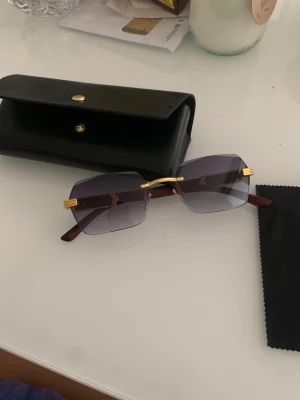 Solglasögon - Solglasögon perfekt nu till sommaren helt nya anledningen till att jag säljer dessa är för att de satt lite för små på mig. Nypris 1250(pris kan diskuteras)