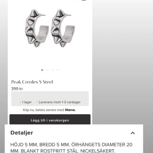 Edblad örhängen  - Dom är som nya har knappt använt dom då jag insett att jag är en ”guld person” tycker det är tråkigt att de inte kommer till användning så då säljer jag dom för 300kr då de är nästan helt nya, pris kan diskuteras 