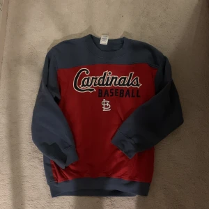 Vintage sweatshirt  - Vintage sweatshirt i fint skick som jag nu säljer då den aldrig kommer t användning💗