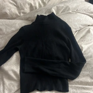 Ribbstickad polotröja - Sitter tajt och medelhög upp på halsen.