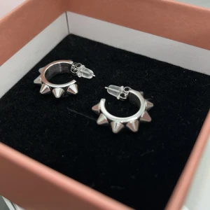 Örhängen - Säljer dessa Edblad örhängen, använda en gång men kände att dom inte passade mig så bra, så nästa oanvända och förpackningen finns kvar!🥰🥰nypris 399kr!