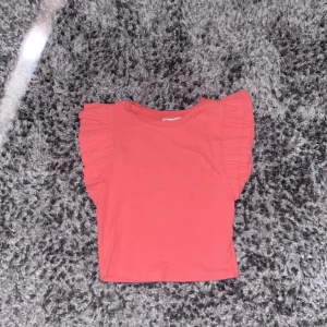 Zara t-shirt  - En jätte fin t-shirt med volangärmar från zara i en korall rosa färg. Använt ett få tal gånger storlek:M men passar mig som bär xs och s 