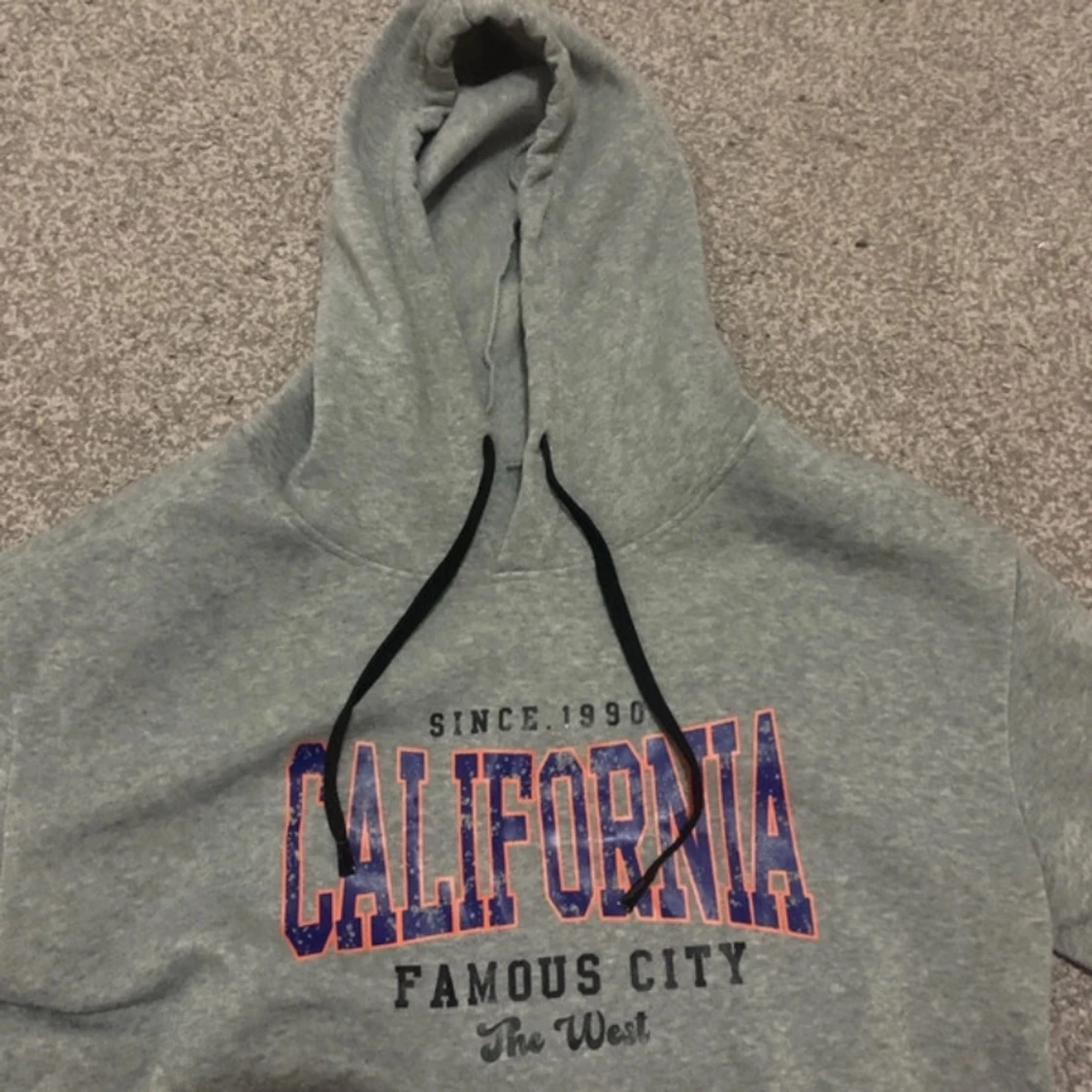 Carlifonia skön grå hoodie - 91