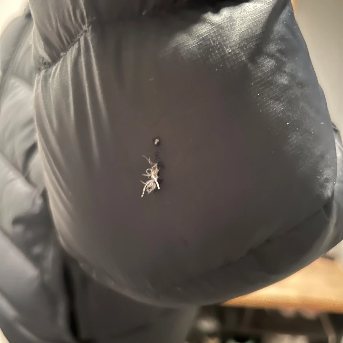 Peak Performance  - 92