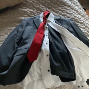 Kostym med röd slips och vit skjorta - Elegant kostym i grå med en kavaj och byxor. Matchande vit skjorta. Den röda slipsen ger en stilren kontrast. Perfekt för formella tillfällen. Använd ett par gånger