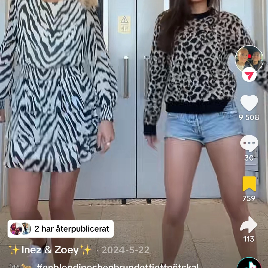 Leopardmönstrad tröja - 1