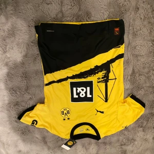 Dortmund HALLER - 300kr, kika in profilen för fler feta fotbollströjor😉