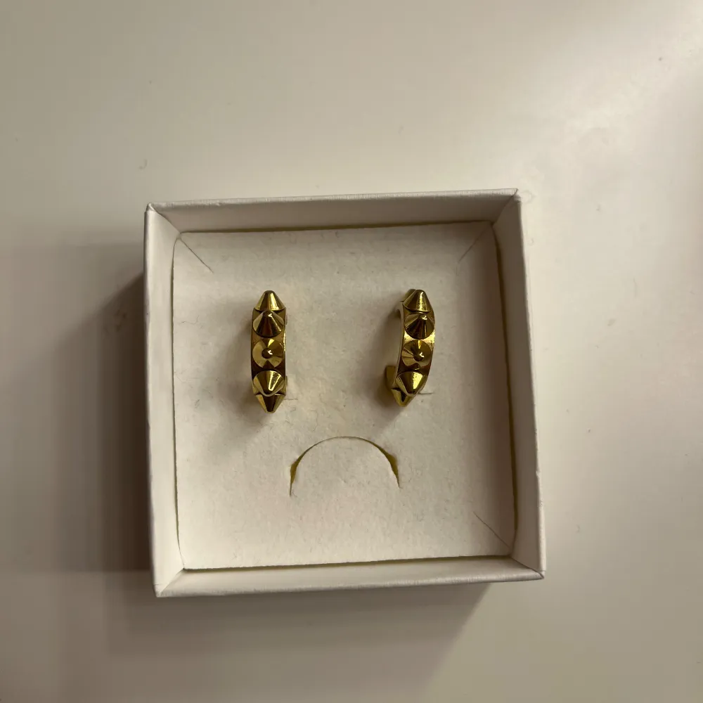 Snygga guldörhängen med nitdetaljer från Edblad! Nyskick🥰. Asusteet.