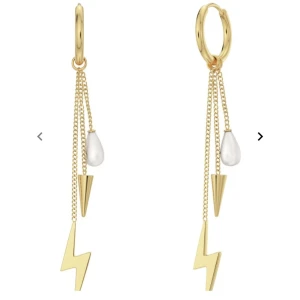 Söker edblad örhängen - Söker dessa örhängen i nyskick/ fräschtskick, under 200 kr! Kontakta mig om ni har dessa och är villiga att sälja🙏