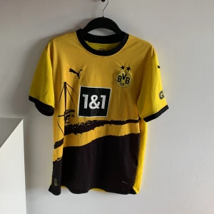 Dortmund t shirt - Hejsan, säljer nu min Dortmund T-shirt då den bara blivit liggandes därför den är lite skrynklig. Tröjan har tyvärr fått några små fläckar vilket syns på bilderna.  Kan skicka fler bilder om så önskas, mvh