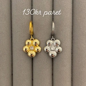 Örhängen  - Frakt 18kr ❤️